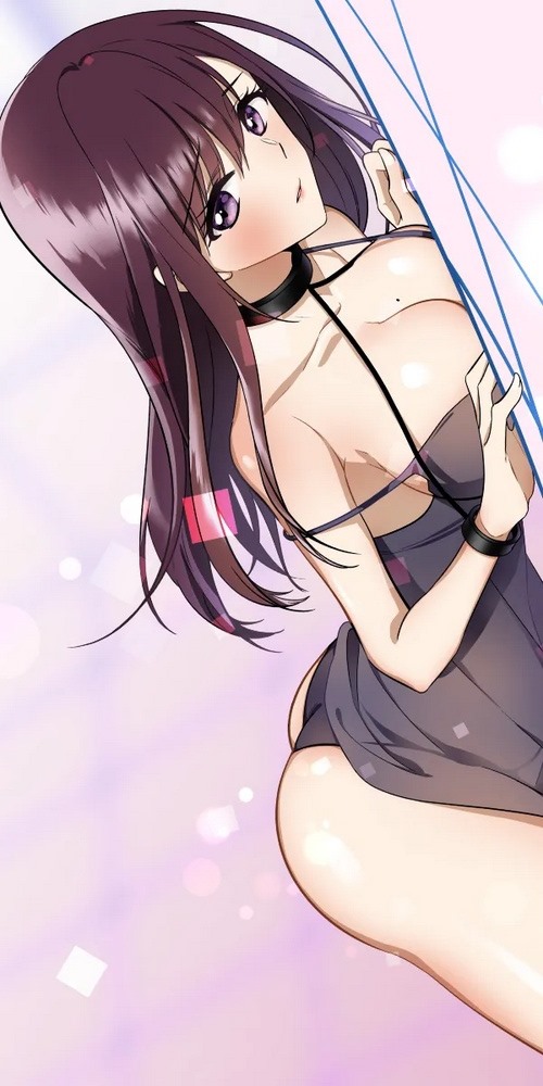 钢之炼金术师 封面